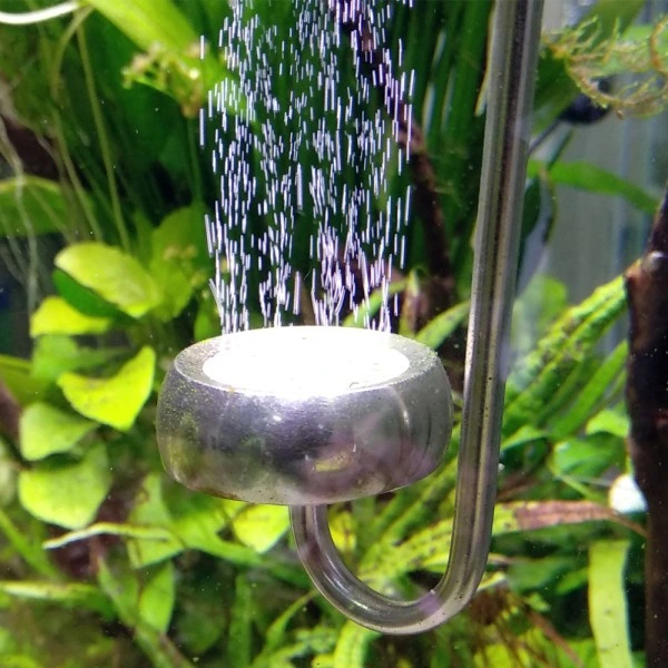 Blau Rustfrit stål CO2 Diffuser M20 25 cm